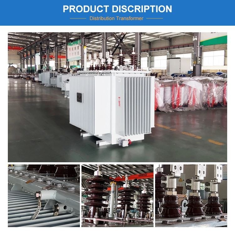 Oil Immersed Distribution Transformers