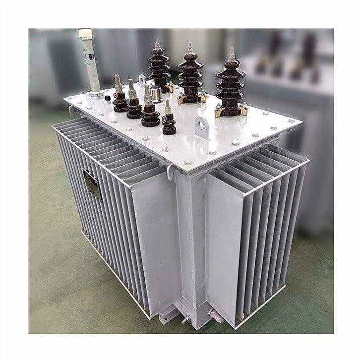 Fully Sealed Oil-immersed Transformer