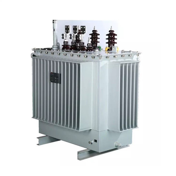 100 Kva 3 Phase Oil Immersed Transformer